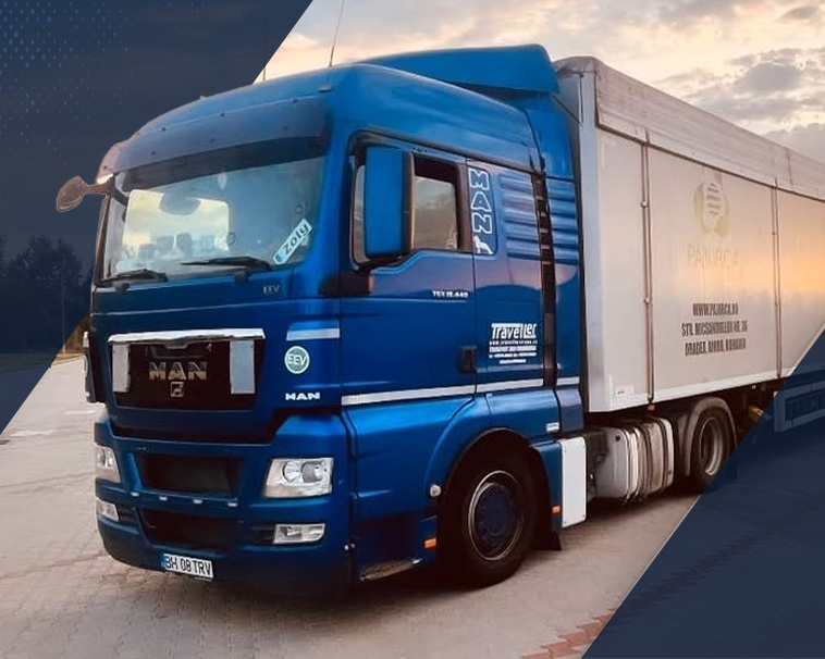 traveller_servicii_mobile